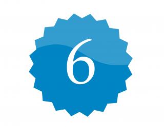 6 badge
