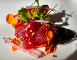 tuna