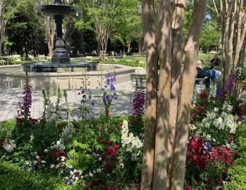 American Gardens in Charleston