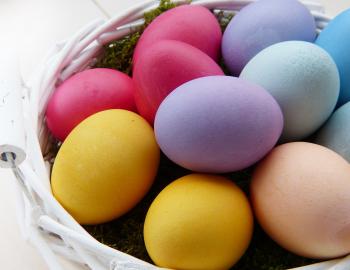 Spring in an Isle of Palms vacation rental