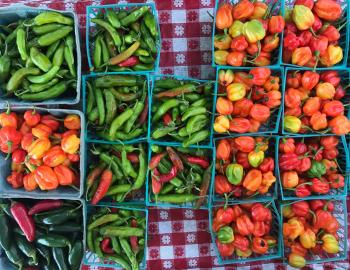 charleston farmers market