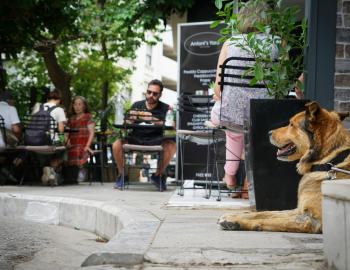 outdoor dining in Charleston