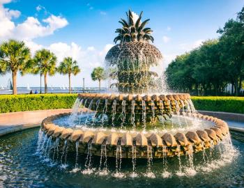 pineapple fountain