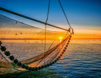 shrimp boat