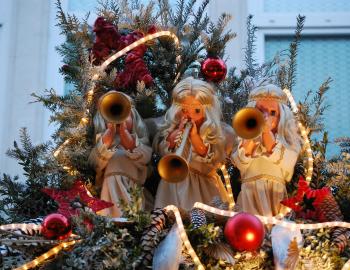 Charleston's Holiday Farmers Market