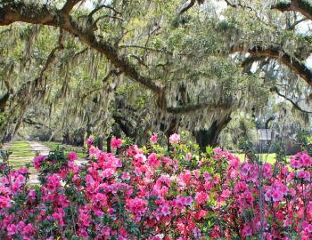 Boone Hall Easter service