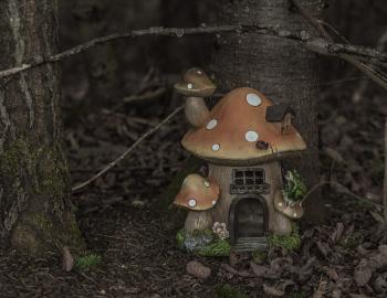 Fairy House Festival