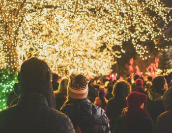 Holiday Festival of Light Fun Run 