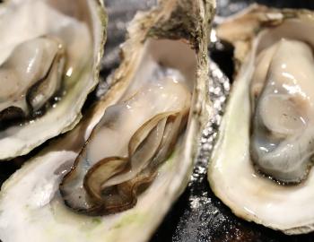 OysterFest