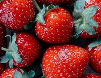 Lowcountry Strawberry Festival