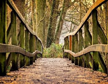 hiking bridge