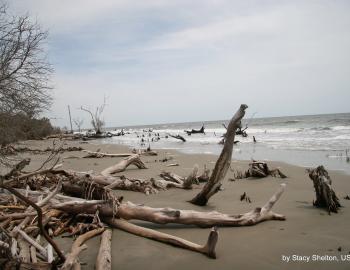 boneyard beach