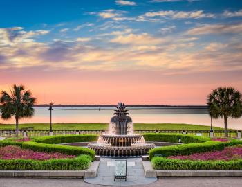 pineapple fountain charleston sc