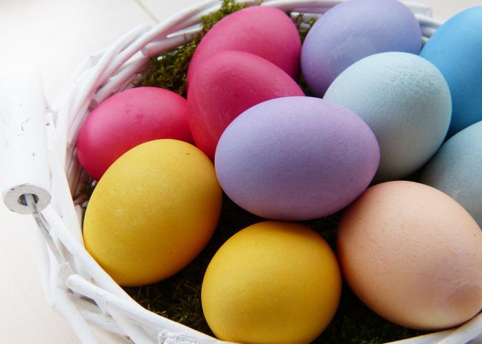 Spring in an Isle of Palms vacation rental