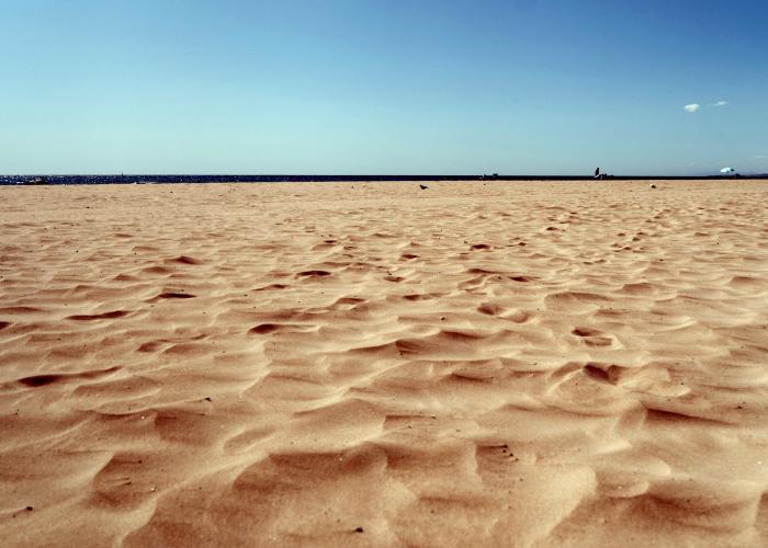 Beach renourishment on the Isle of Palms