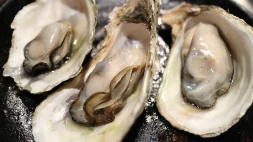 OysterFest