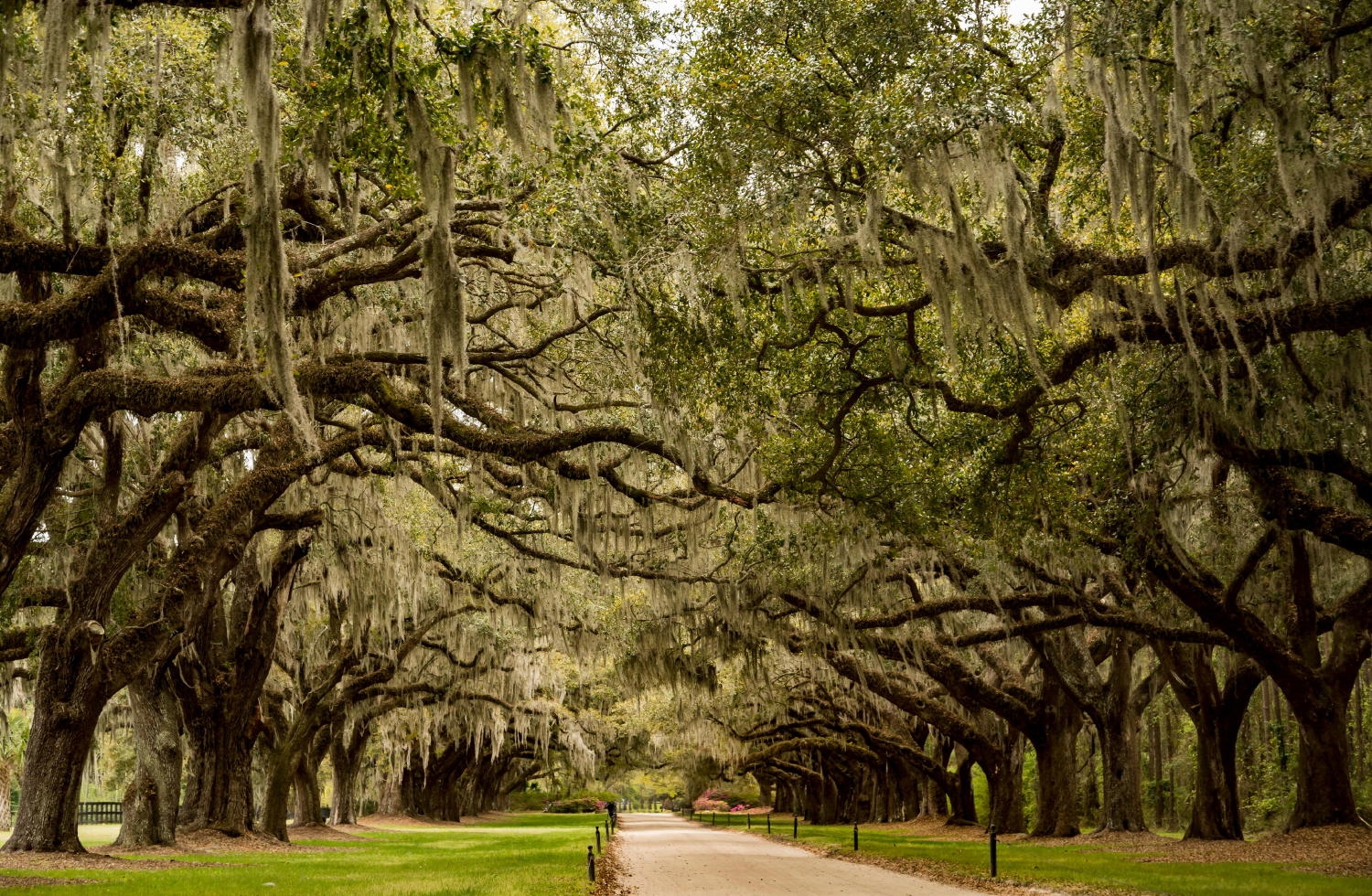 Boone Hall 