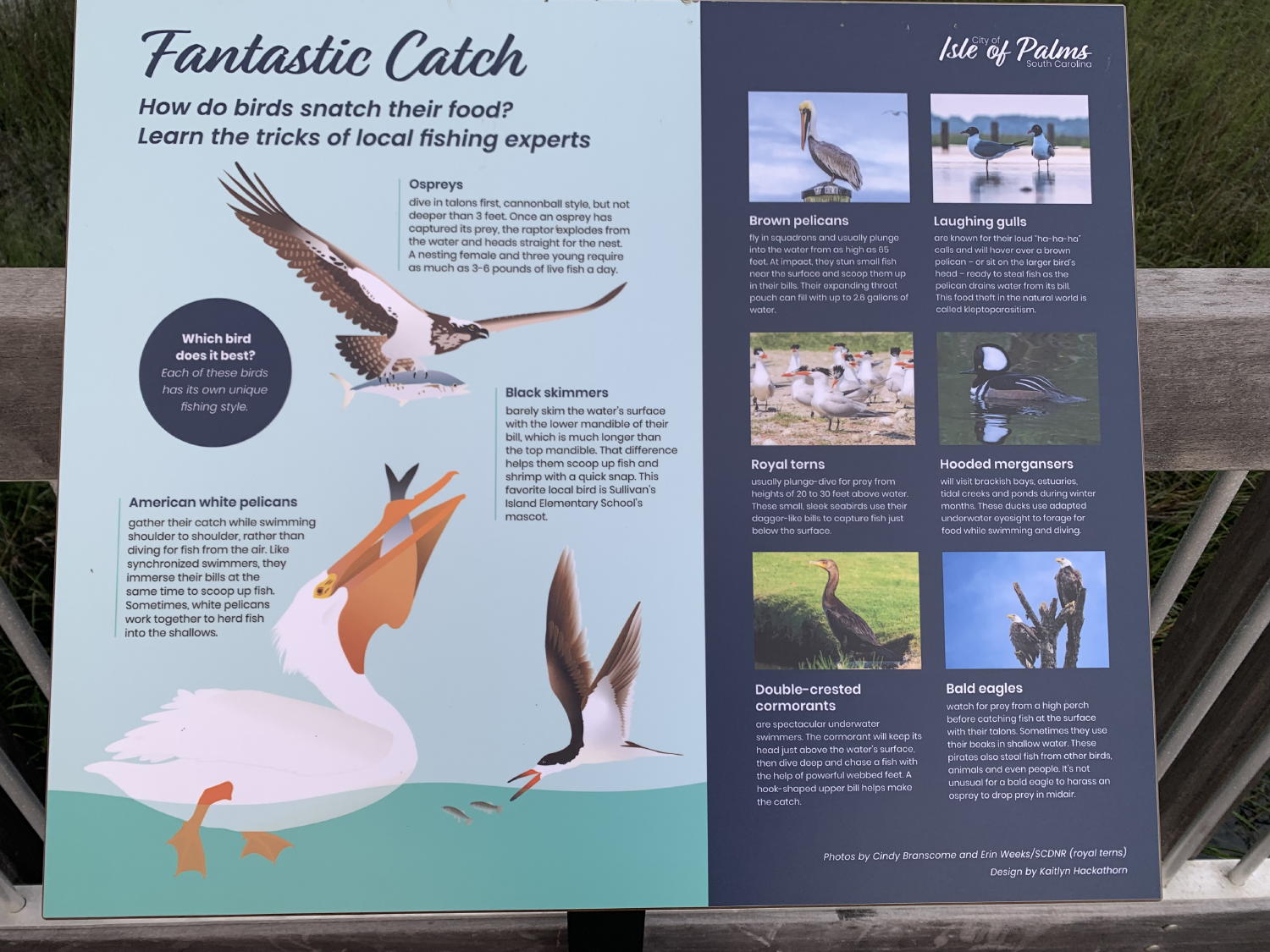 Eco-education signs Fantastic catch Eco-education signs Fantastic catch