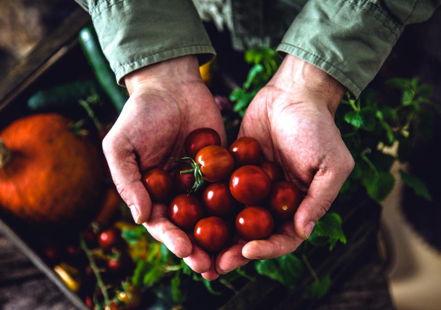 farm fresh produce near your Charleston beach house