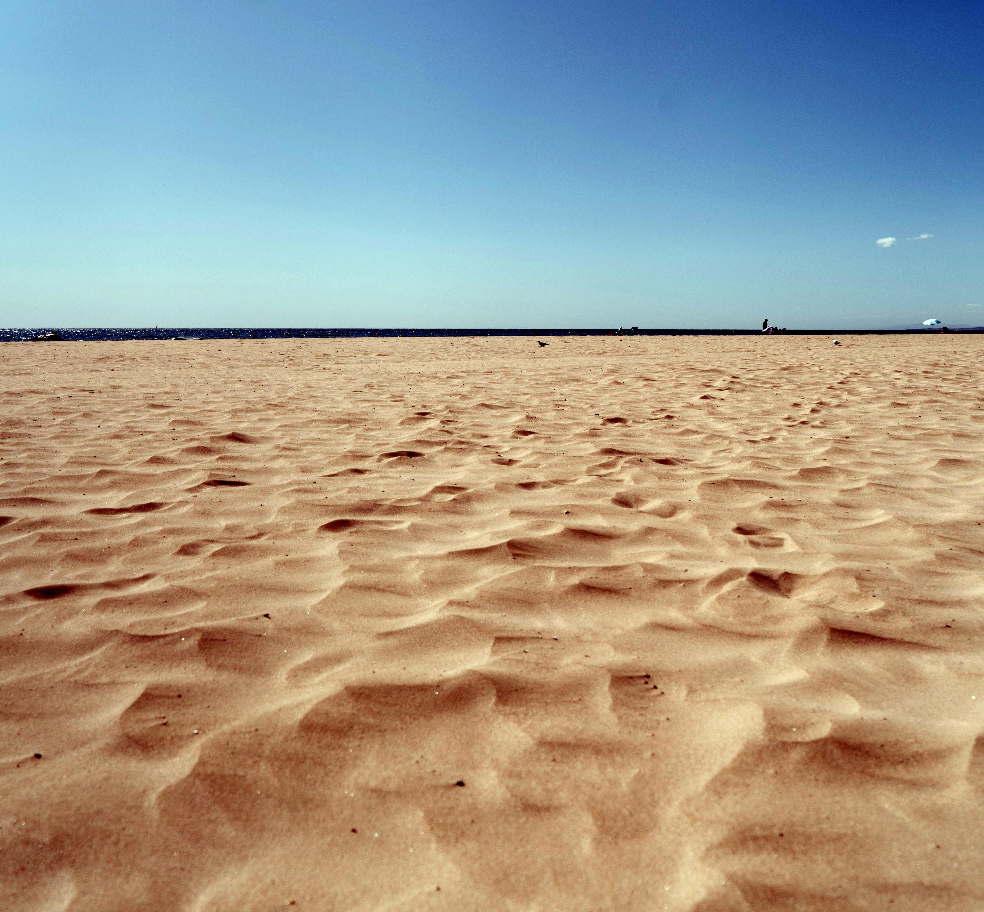 the beach is growing near our Isle of Palms vacation rentals