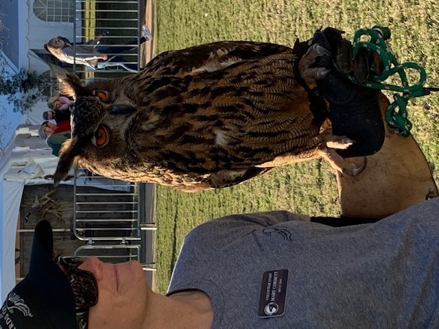 Center for Birds of Prey owl at SEWE