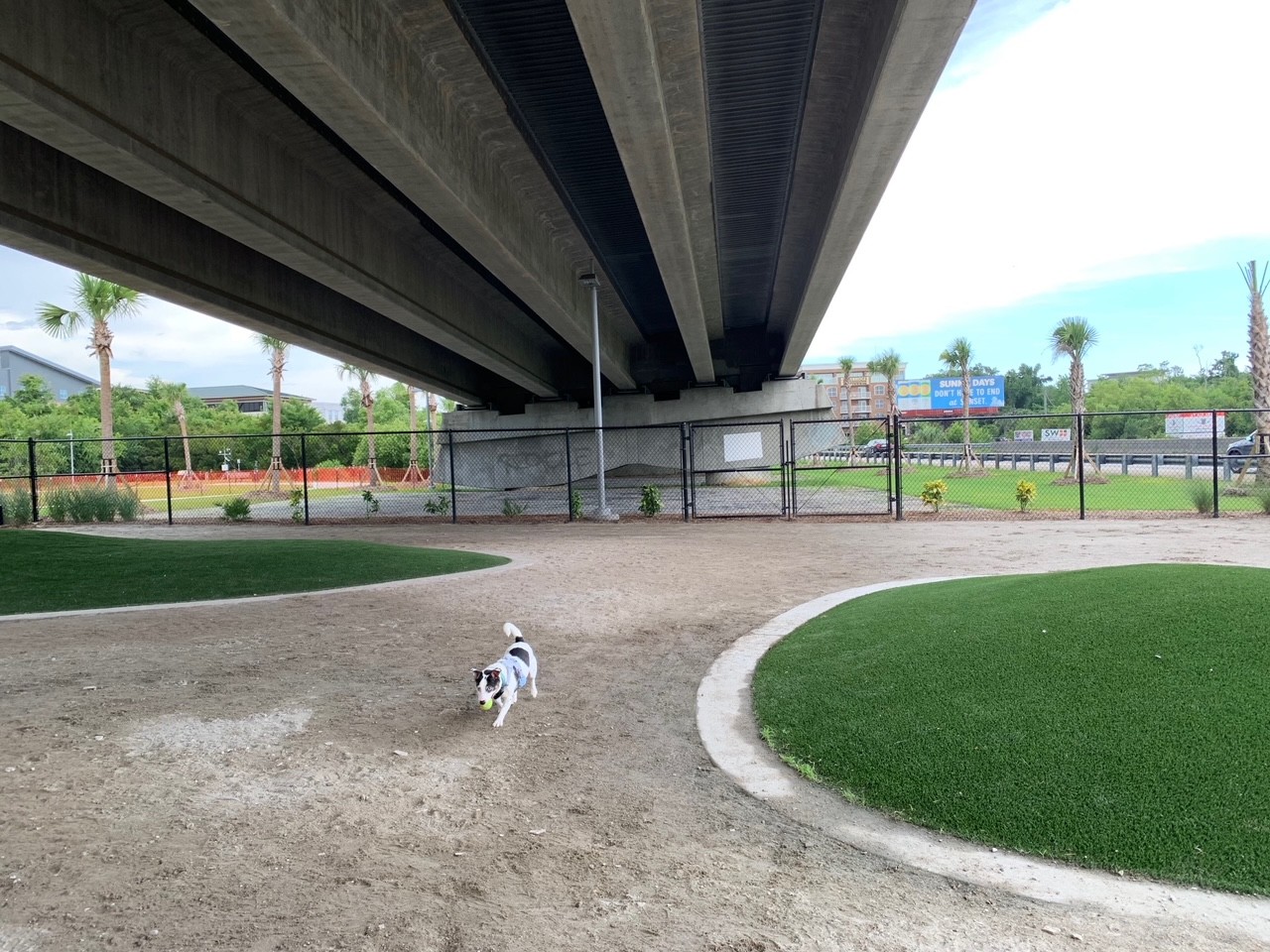 dog park